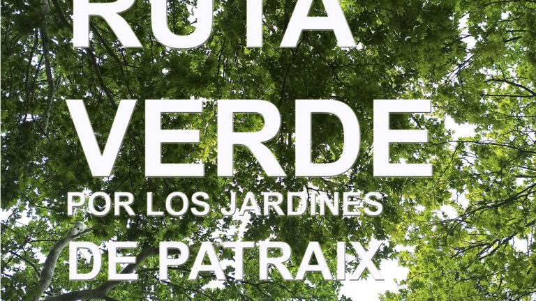 Ruta Verde